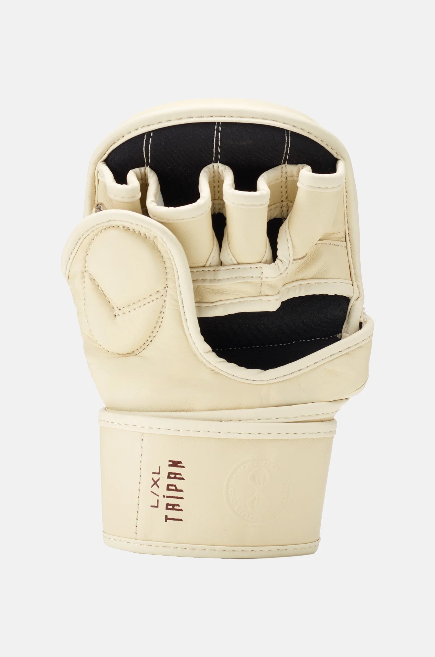 Taipan MMA Sparring Gloves - Image 5